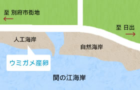 砂浜の地図