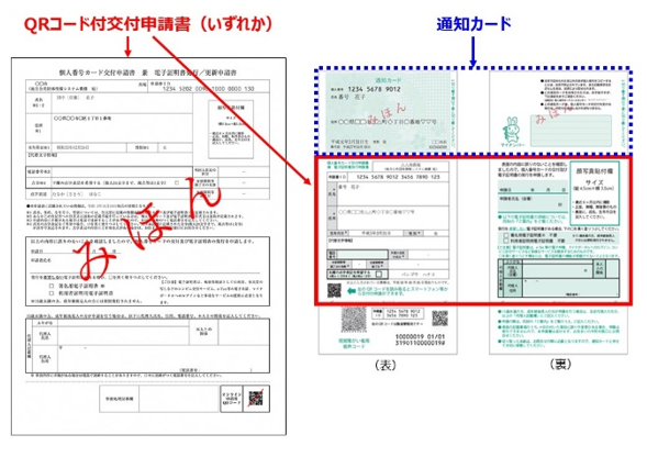 交付申請書、通知カードの見本図