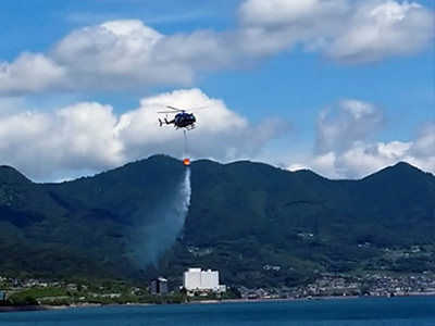 散水の写真