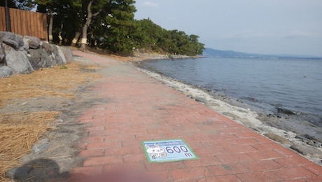 海沿いのコース上に、「600m」と距離が書かれている写真