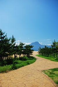 餅ケ浜海浜公園の写真